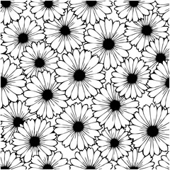 Floral vector pattern of chamomile flowers in black and white style art