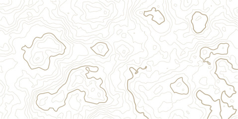 Geographic grid map, stock vector illustration, topographic line contour map background,