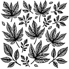 Elegant hand-drawn floral set with intricate leaf designs for creative projects