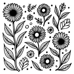 Elegant Floral Line Art Composition: A Botanical Illustration for Design Projects