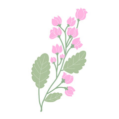 coquette pink  Floral Groupings.Vibrant Bouquets and Blooming Gardens. cute pink flowers.