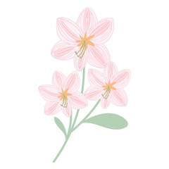 coquette pink  Floral Groupings.Vibrant Bouquets and Blooming Gardens. cute pink flowers.
