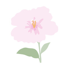 coquette pink  Floral Groupings.Vibrant Bouquets and Blooming Gardens. cute pink flowers.