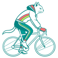 Cat riding bicycle in sporty outfit with colorful stripes  