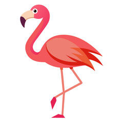Cute cartoon pink flamingo standing on one leg isolated on white background