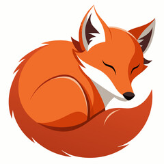 Obraz premium Cute sleeping fox curled up in a ball isolated on white background