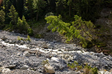 Aua Sesvenna Valley River Landscape