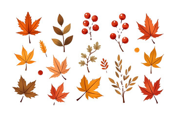 Autumn Leaf Collage: Hand-Drawn Botanical Icons on Layered on white Background

