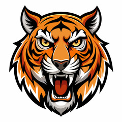 Obraz premium Fierce tiger head roaring with open mouth and sharp teeth isolated on white background