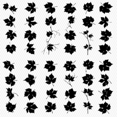 Silhouette Collection of Vine Leaves and Branches Natural Decorative Elements for Design Projects