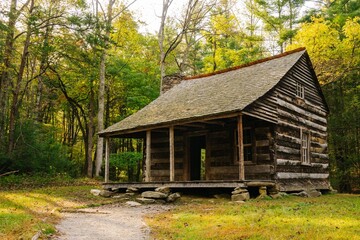 Rustic Wooden Cabin in Autumn Forest