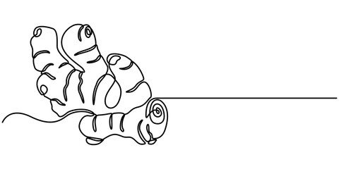 ginger continuous One line drawing art illustration organic ginger, Single one line drawing of healthy organic ginger for harvesting identity. Fresh flowering plant concept pro. 