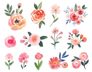 Watercolor floral arrangements pink coral flowers botanical