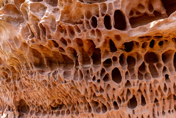 Intricate Honeycomb Weathered Sandstone Rock Formation