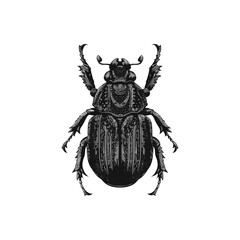 Detailed vector illustration of a beetle showcasing intricate patterns and textures on its exoskeleton. The black and white design highlights the beetle's symmetrical form set against a stark white ba