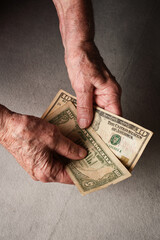 Dollars banknotes in a adult woman hands. Close-up of seniors hands holding and counting money. Selective  focus