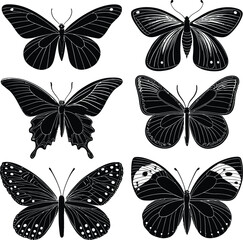 Black Butterfly Silhouette Icons – Vector Set