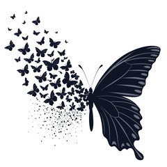 Creative Modern Butterfly Icon – Vector Design