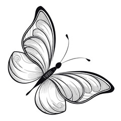 Minimalist Butterfly Illustration – Simple Line Art Design