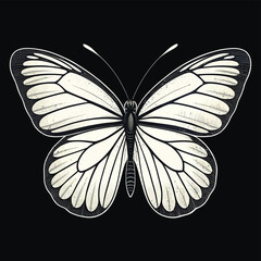 Minimalist Butterfly Illustration
