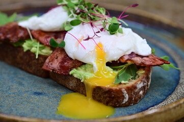 Avocado Toast with Poached Eggs, Bacon and Microgreens – Gourmet Breakfast Close-Up
