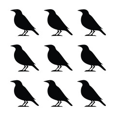 Myna Full Body Silhouette Bundle