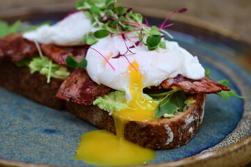 Avocado Toast with Poached Eggs, Bacon and Microgreens – Gourmet Breakfast Close-Up