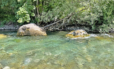 Clear mountain river with big stones and bushes. Rapid flow of the river