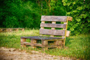 A rustic wooden pallet chair sits serenely in a sunlit park setting surrounded by vibrant greenery.