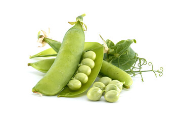 Fresh green peas in pods, a vibrant and healthy food source.