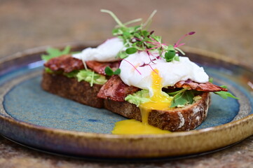 Avocado Toast with Poached Eggs, Bacon and Microgreens – Gourmet Breakfast Close-Up