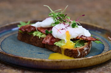 Avocado Toast with Poached Eggs, Bacon and Microgreens – Gourmet Breakfast Close-Up