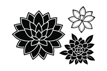 Three stylized black and white succulent plant silhouettes