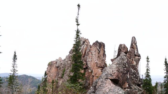 Fir trees against the backdrop of huge, harsh rocks on a cloudy autumn day.