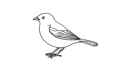 "Small Bird Line Art Drawing: Minimal Songbird Side View Illustration"