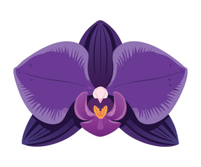 Elegant Purple Orchid Flower Illustration