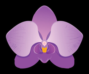 Elegant Pale Purple Orchid Blossom Isolated Illustration