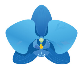 deep blue orchid flower abstract illustration