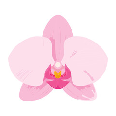 delicate pink orchid flower abstract illustration
