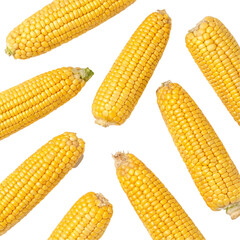Corn cobs transparent background isolated on transparent background  
