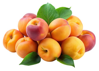 A beautiful arrangement of fresh apricots with vibrant colors and green leaves