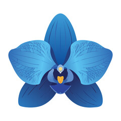 beautiful blue orchid flower serene illustration