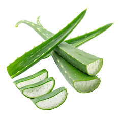 Aloe vera leaves with sliced extract arranged on transparent background isolated on transparent background  
