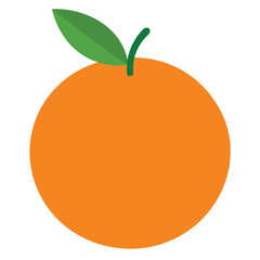 orange fruit vector illustration