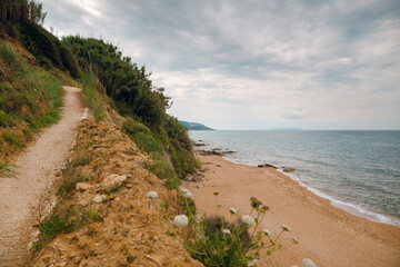 Scenic Coastal Path Along Sandy Beach