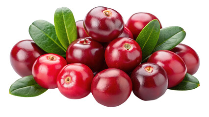 Bright and Beautiful Cranberries with Leaves Isolated on White Background for Design