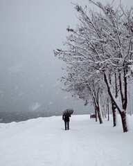 Lone Person Walking with Umbrella in Snowy Winter Landscape
