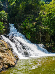 Fototapeta premium Serene Lower Falls of Datanla Pouring into a Calm Green Pool Amid Lush Forest in Da Lat, Vietnam