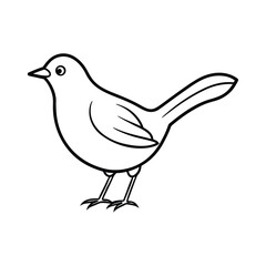 Obraz premium A tapaculo bird line art vector illustration.