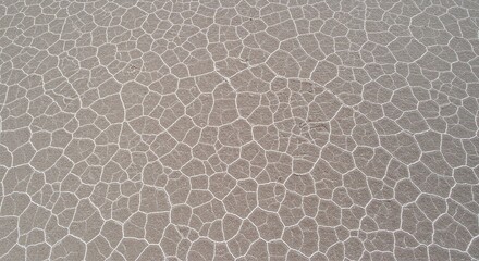 Cracked Earth Texture with Dry Parched Surface in Natural Brown Colors